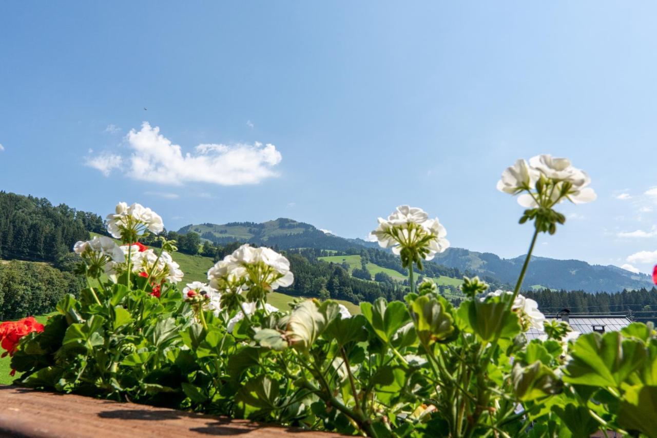 Hotel Kitz Garni Boutique Hotel キッツビュール エクステリア 写真